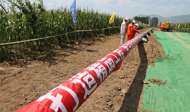 bevictorΰ�¹���-Τ�¹ٷ���վ